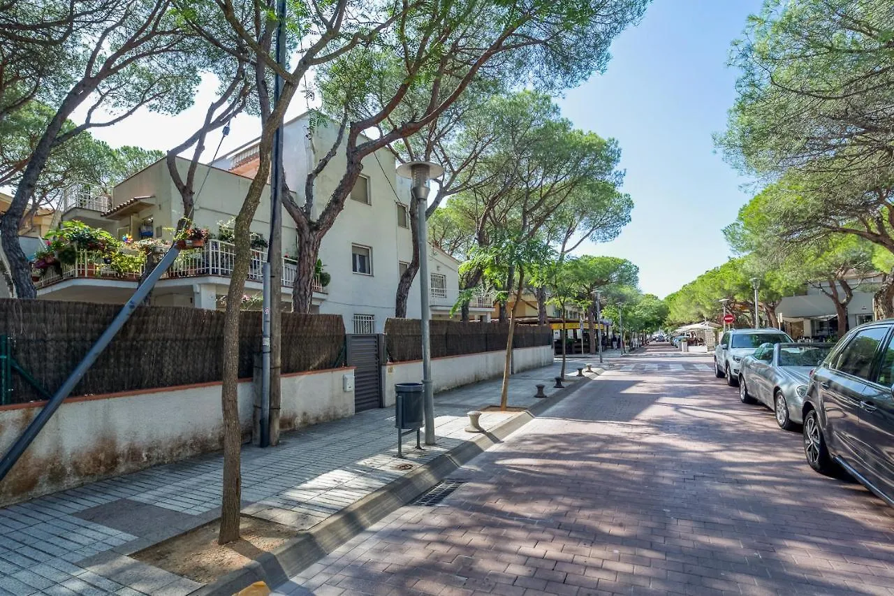 Hauzify I Apartament Edelweiss Platja d'Aro Spain
